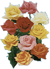 igrosasconjunto.gif (8998 bytes)