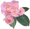 imflorrosas.gif (7337 bytes)