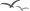 ig2pajaritosmov.gif (535 bytes)